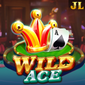Wild Ace bee happy crafts related